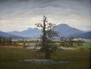 Caspar David Friedrich Landscape with Solitary Tree oil painting reproduction